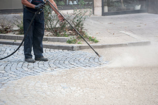 Best Dumpster Area Cleaning  in Woodmere, LA